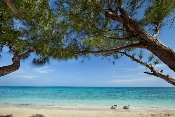 Hotel Viva Wyndham Fortuna Beach - All-Inclusive Resort (Freeport)